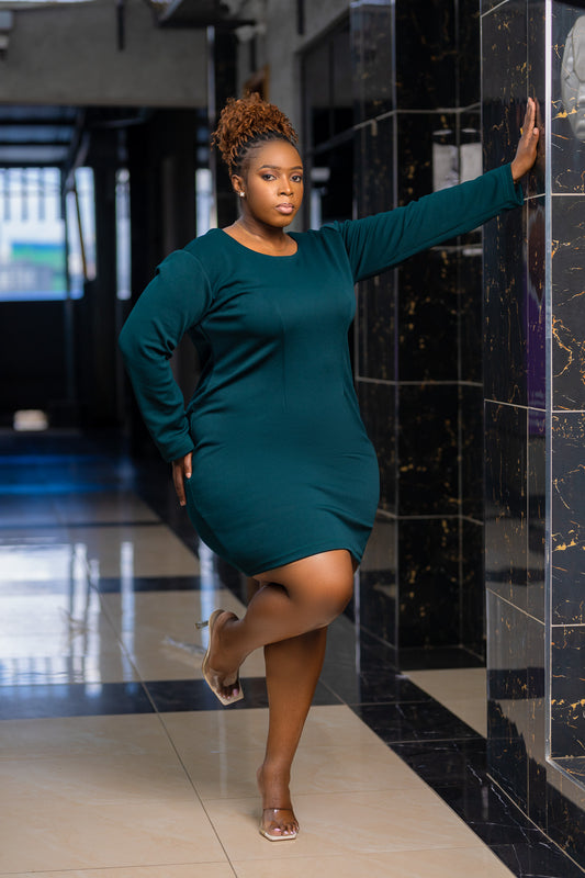 Abby bodycon dress