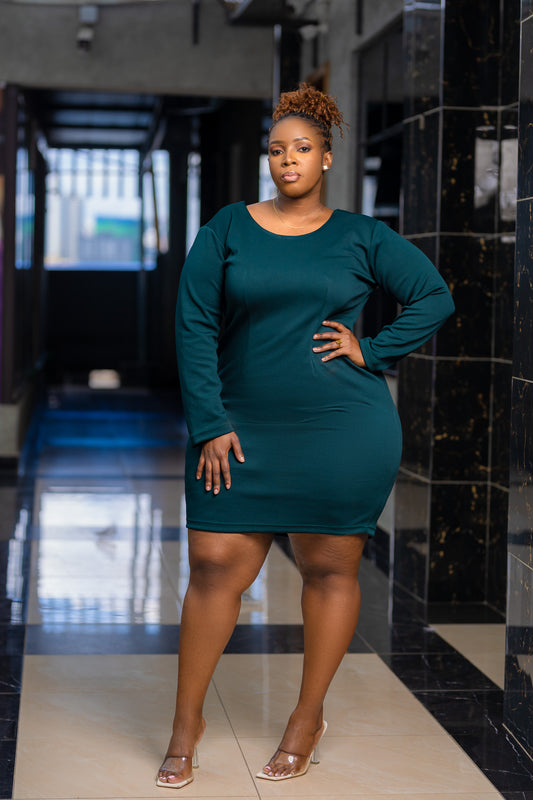 Abby bodycon dress