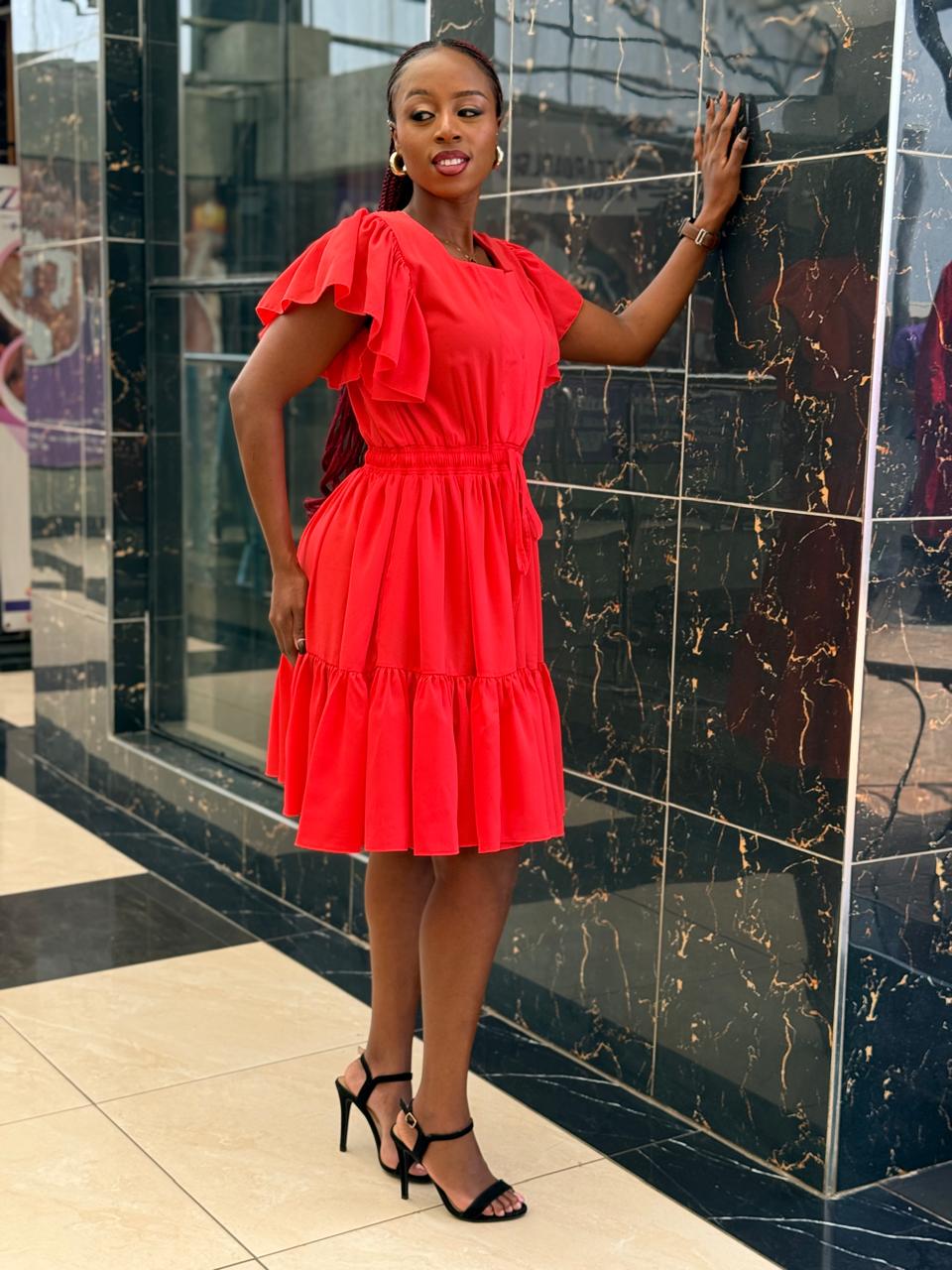 Coco Skater Dress