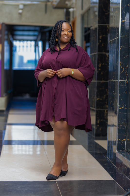 ELEANOR SHIRT DRESS